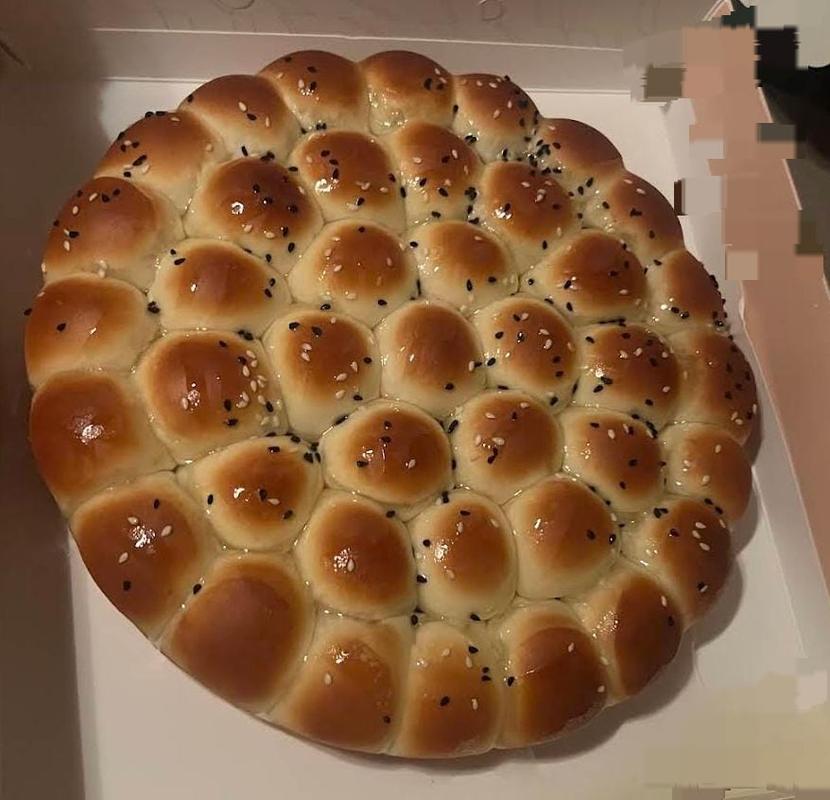 خلية شيرة وسط